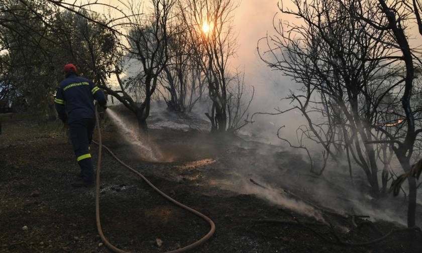 Φωτιά Εύβοια: Νέα ολονύχτια «μάχη» με τις φλόγες - Σύμμαχος των πυροσβεστών το σκοτάδι