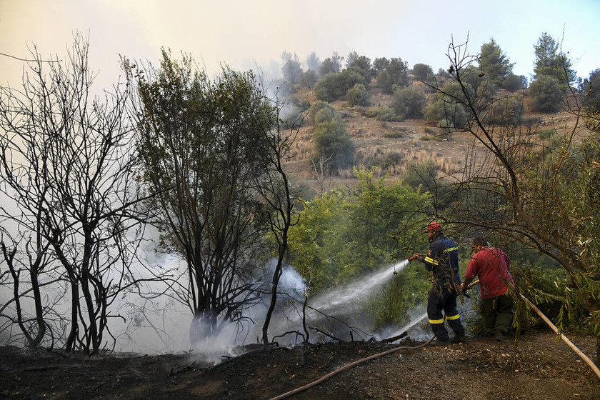 Φωτιά Εύβοια: Σε ύφεση η μεγάλη πυρκαγιά που κατέκαψε χιλιάδες στρέμματα