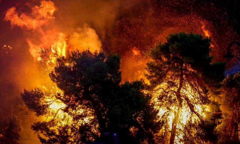 Φωτιά ΤΩΡΑ: Πυρκαγιά στο Αχλαδόκαστρο Αιτωλοακαρνανίας (χάρτης)