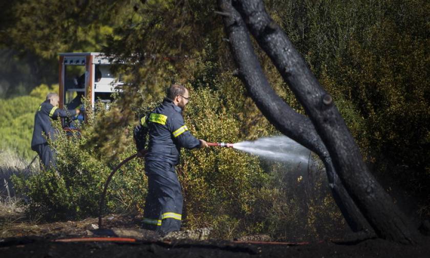 Τρεις συλλήψεις για εμπρησμούς σε Αττική και Έβρο - Έβαζαν φωτιές για απίστευτους λόγους