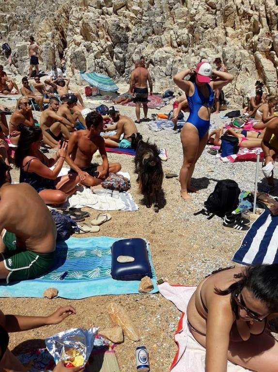 Κρήτη: Δεν πίστευαν στα μάτια τους με αυτό που τους πλησίασε σε διάσημη παραλία (vids+pics)