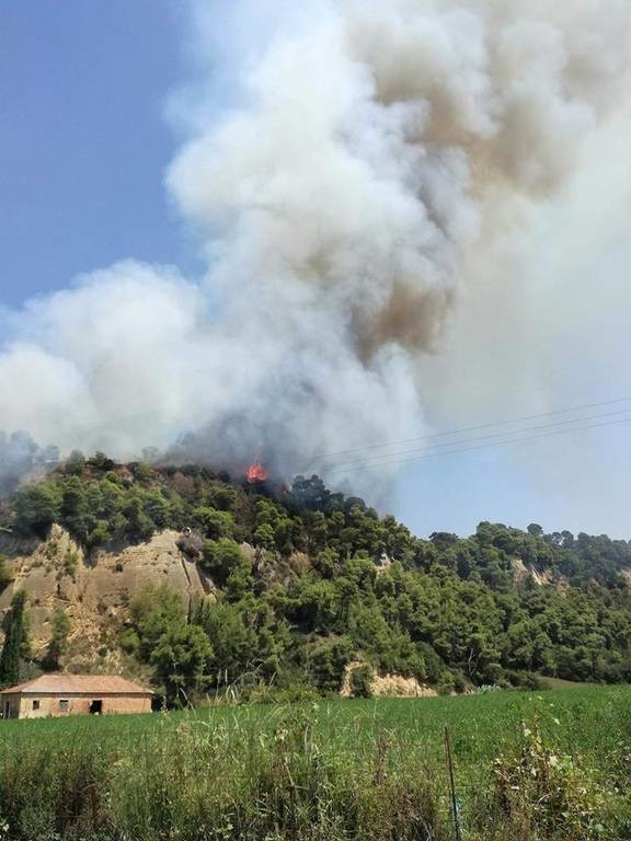 EKTAKTO - Φωτιά: Μεγάλη πυρκαγιά ΤΩΡΑ στην Αμαλιάδα - Εκκενώνεται χωριό