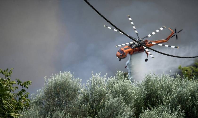 Φωτιά στην Ηλεία: «Κρίσιμες οι επόμενες ώρες. Η πυρκαγιά είναι σε πλήρη εξέλιξη»