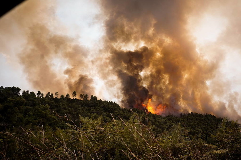 Φωτιά στην Αμαλιάδα: Σε χαράδρα δίνουν οι Πυροσβέστες τη μάχη με τις φλόγες 