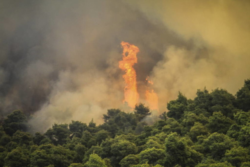 Φωτιά στην Αμαλιάδα: Σε χαράδρα δίνουν οι Πυροσβέστες τη μάχη με τις φλόγες 