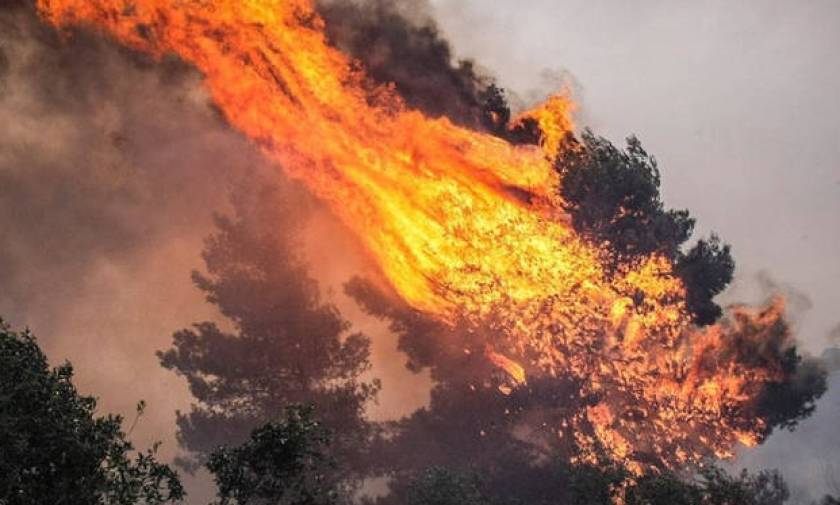 Φωτιά: Υπό μερικό έλεγχο η πυρκαγιά στην Κρήτη