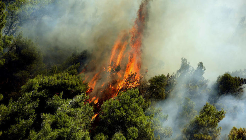 Φωτιά: Μεγάλη πυρκαγιά ΤΩΡΑ στην Κέρκυρα