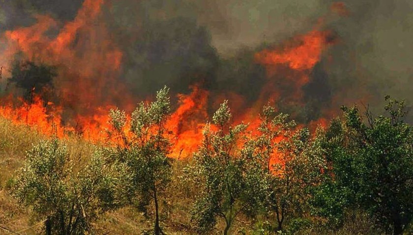 Φωτιά: Μεγάλη πυρκαγιά στα Χανιά