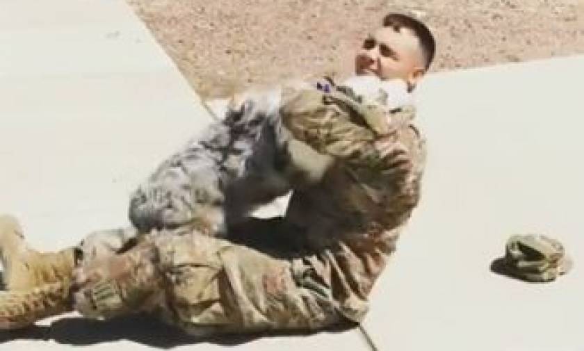 Συγκινητικό: Δείτε πώς υποδέχονται αυτά τα σκυλιά το αφεντικό τους που γύρισε από το στρατό (vid)