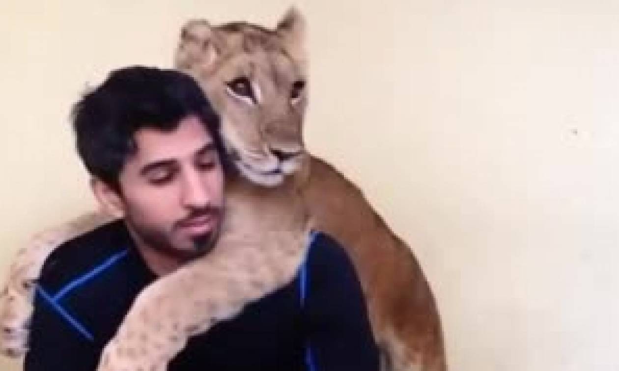 Απίστευτο: Δείτε τις αγκαλιές που κάνει λιονταράκι στον άντρα που το φροντίζει (vid)