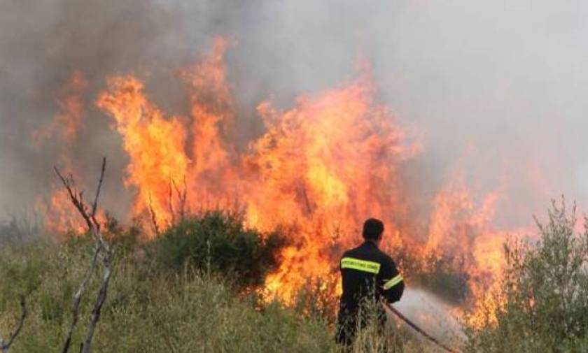 Φωτιά: Συναγερμός για πυρκαγιά στη Βραυρώνα
