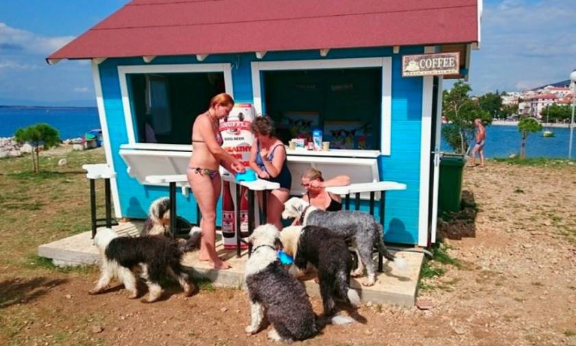 Σκυλίσια ζωή… σε beach bar στην Κροατία!