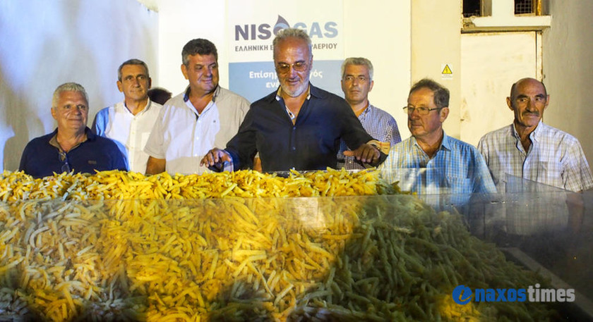 Ρεκόρ Γκίνες στη Νάξο: Τηγάνισαν 625 κιλά πατάτες! (pics+vid)