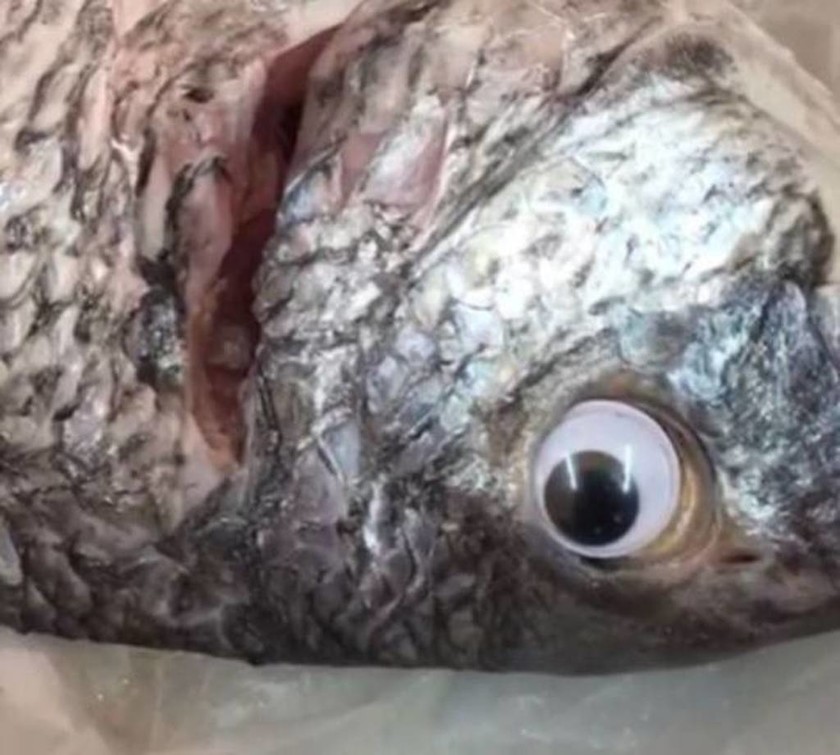 Απίστευτος ιδιοκτήτης εστιατορίου: Κολλούσε ψεύτικα πλαστικά μάτια στα ψάρια για να φαίνονται φρέσκα