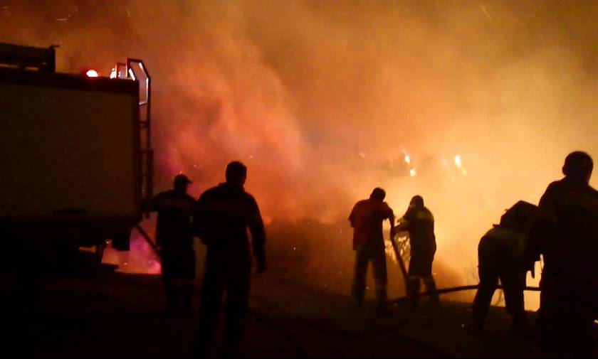 Ολονύχτια μάχη με τις φλόγες στο Οίτυλο Λακωνίας