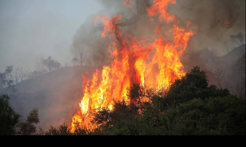 Υπό μερικό έλεγχο η φωτιά στη Μάνη - Δύο πυροσβέστες τραυματίες
