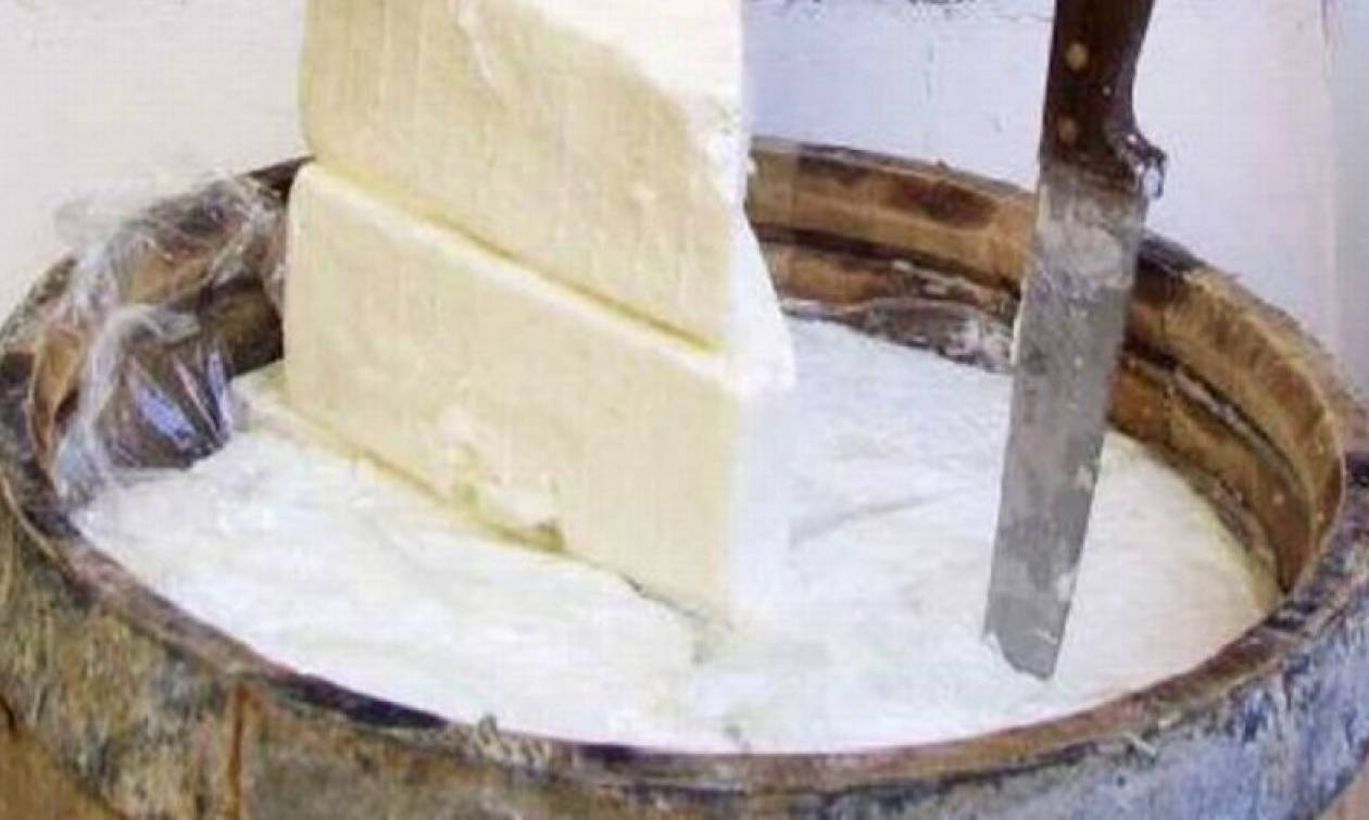 Βρέθηκαν τα ίχνη του αρχαιότερου τυριού στη Μεσόγειο - Mπορεί να ήταν... φέτα
