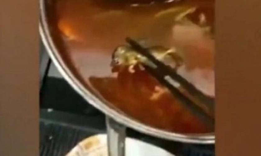 Νεκρός αρουραίος επιπλέει σε σούπα, εστιατόριο παθαίνει ζημιά εκατοντάδων εκατομμυρίων (vid)