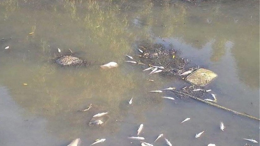 Κέρκυρα: Έπαθαν ΣΟΚ αντικρίζοντας αυτές τις απόκοσμες εικόνες στο ποτάμι (pics)