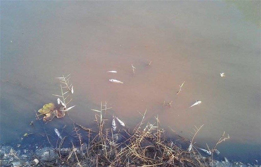 Κέρκυρα: Έπαθαν ΣΟΚ αντικρίζοντας αυτές τις απόκοσμες εικόνες στο ποτάμι (pics)