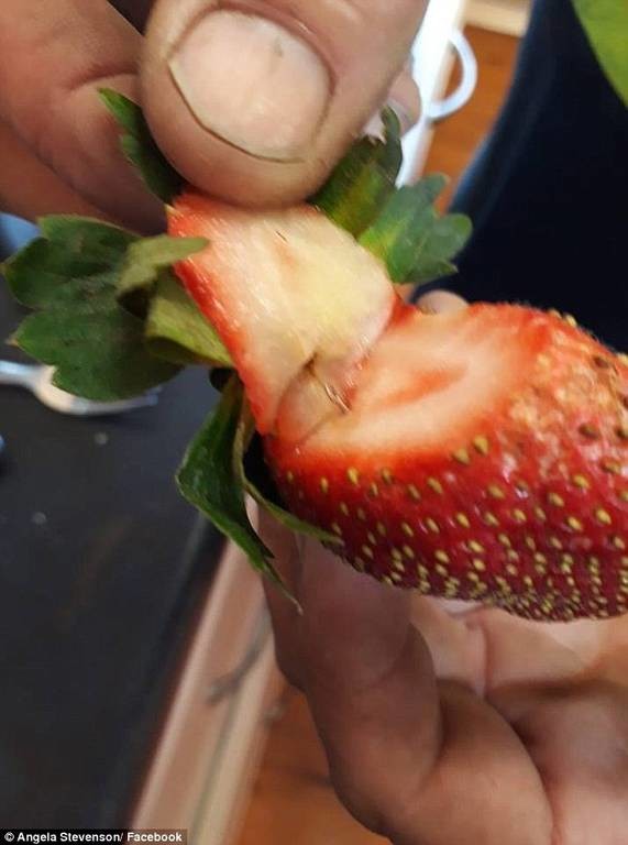 Συναγερμός: «Φυτεύουν» βελόνες σε φράουλες και μπανάνες (ΣΟΚΑΡΙΣΤΙΚΕΣ ΕΙΚΟΝΕΣ)
