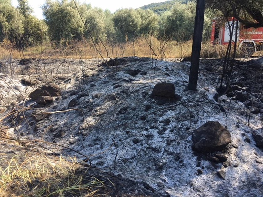 Φωτιά Τώρα στο Αγρίνιο: Οι εστίες επεκτείνονται σε πολλά χιλιόμετρα 