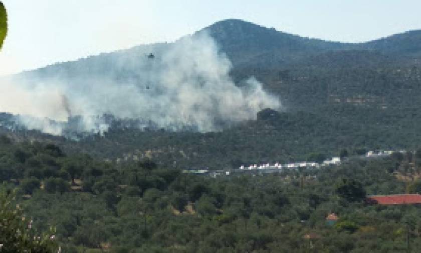 Μυτιλήνη: Σε εξέλιξη μεγάλη πυρκαγιά στη Μόρια (vid)