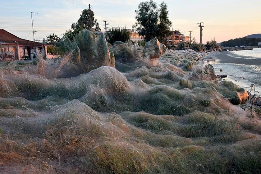 Viral: Το εντυπωσιακό ηλιοβασίλεμα με τους ιστούς αράχνης στο Αιτωλικό (pics)