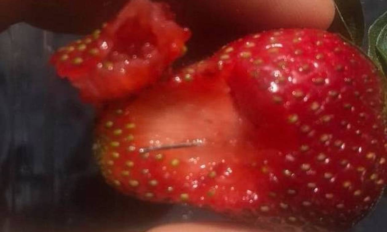 Νέος συναγερμός: «Φύτεψαν» πάλι βελόνες σε φράουλες (Pics)