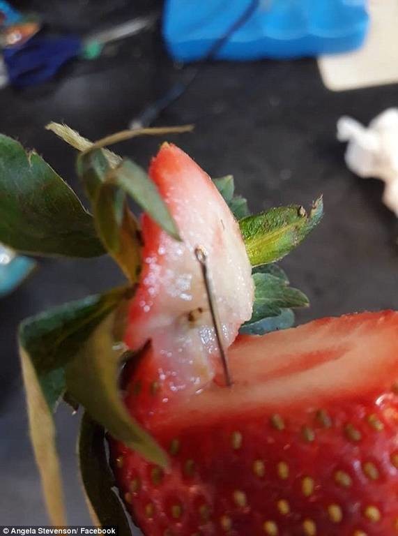 Νέος συναγερμός: «Φύτεψαν» πάλι βελόνες σε φράουλες (Pics)