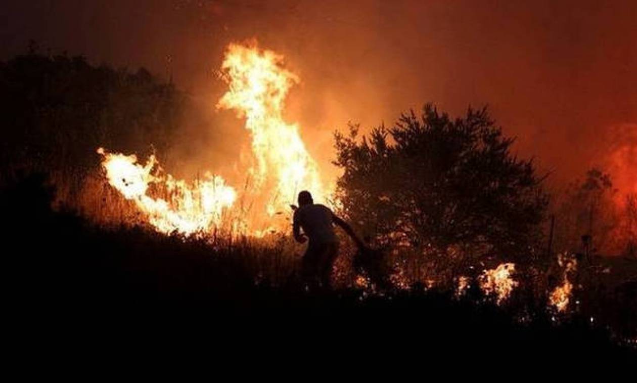 Φωτιά ΤΩΡΑ στη Θεσσαλονίκη: Σε εξέλιξη μεγάλη πυρκαγιά στη ΒΙΠΕ Σίνδου (pics&vid)