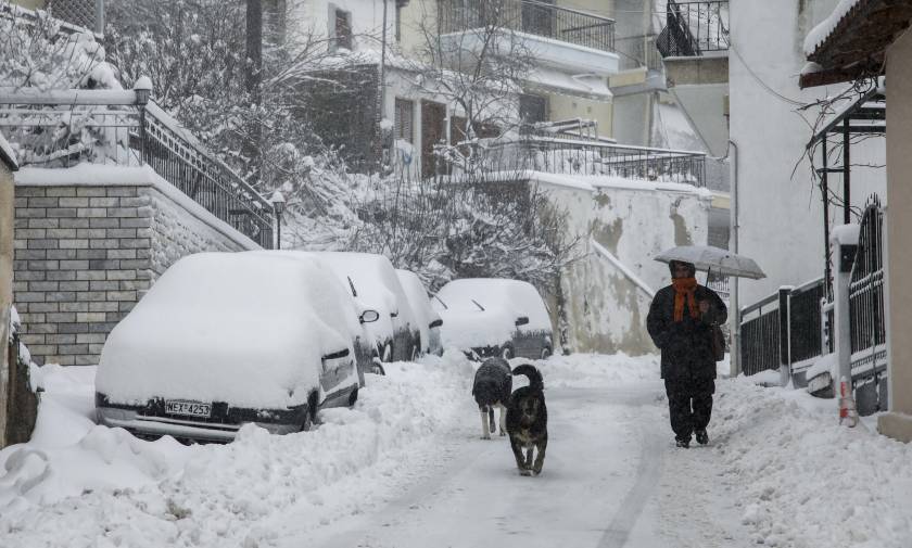 Κακοκαιρία: Ο «Ξενοφών» έφερε τα πρώτα χιόνια στην Στερεά Ελλάδα – Δείτε πού το έστρωσε (pic)