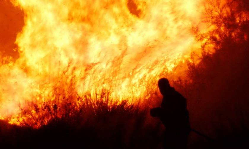 Φωτιά ΤΩΡΑ: Υπό μερικό έλεγχο η πυρκαγιά στην περιοχή της Λίμνης Προκοπίου Αχαΐας