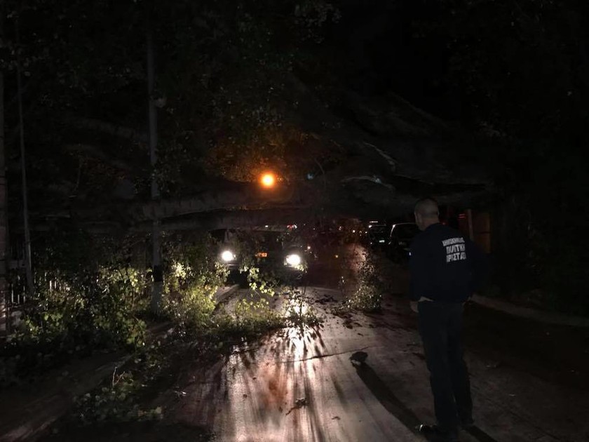 Καιρός: Σφοδροί άνεμοι ξερίζωσαν τεράστιο δέντρο έξω από τον σταθμό του ΗΣΑΠ στην Κηφισιά (Pics)