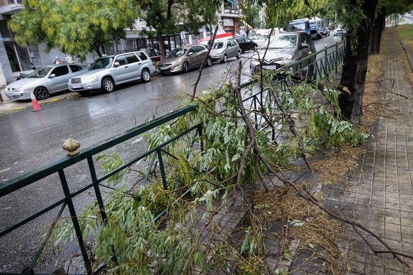 Πεσμένα δέντρα από το δυνατό αέρα στο κέντρο της Αθήνας