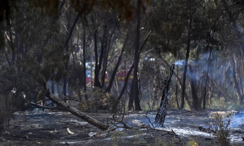 Αντιμέτωπη με ξηρασία και πυρκαγιές η Αυστραλία