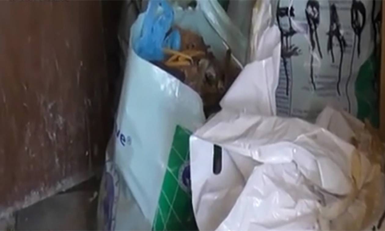Εικόνες ντροπής στη Δράμα: Έβαζαν σε πλαστικούς σάκους λείψανα νεκρών στο κοιμητήριο της Χωριστής