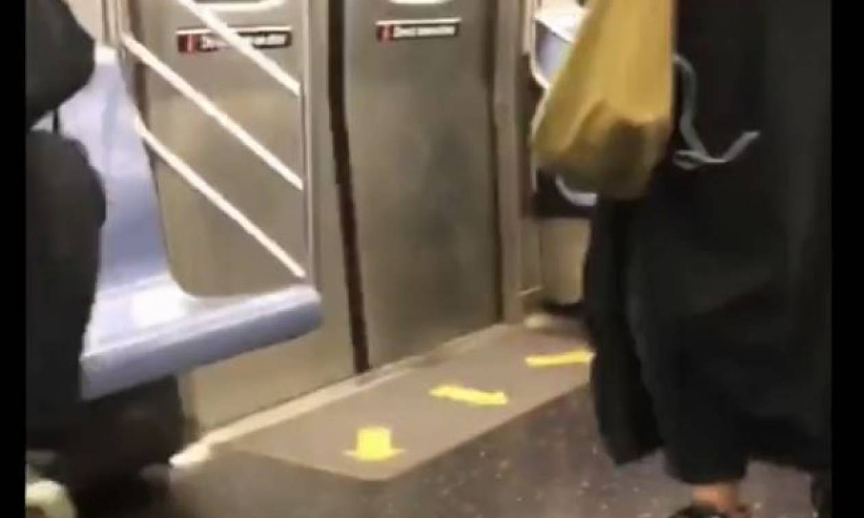 Πανικός σε βαγόνι του μετρό: Έντρομοι οι επιβάτες από τον... απρόσκλητο επισκέπτη! (vid)