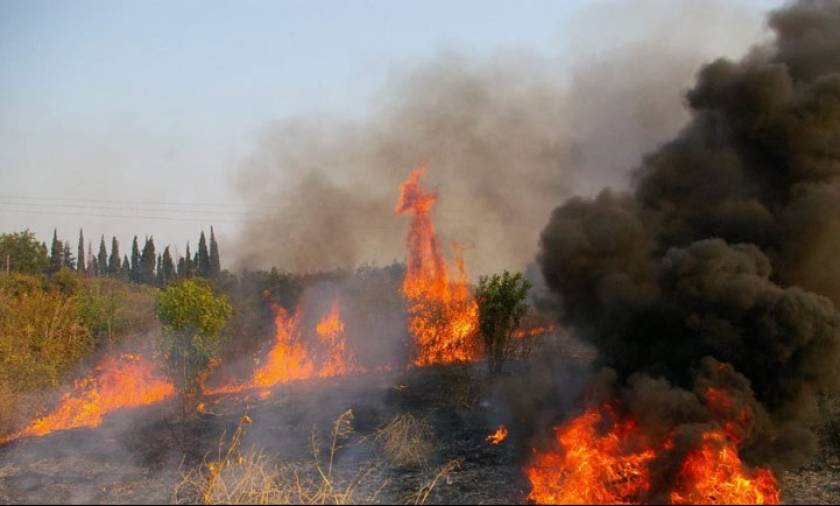Κέρκυρα: Σε ύφεση η φωτιά στην Κουλούρα - Επιστρέφουν στον οικισμό κάτοικοι και παραθεριστές