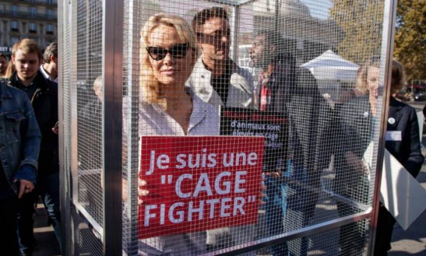 Τι κάνει η Pamela Anderson μέσα στο κλουβί;