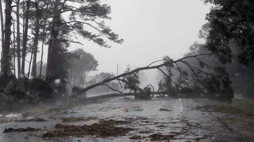 Φλόριντα: Εικόνες Αποκάλυψης και έξι νεκρούς άφησε πίσω του ο ιστορικός τυφώνας «Μάικλ» (vids+pics)