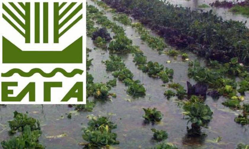 ΕΛΓΑ: Σήμερα (16/10) η καταβολή των ενισχύσεων προς τους πλημμυροπαθείς αγρότες