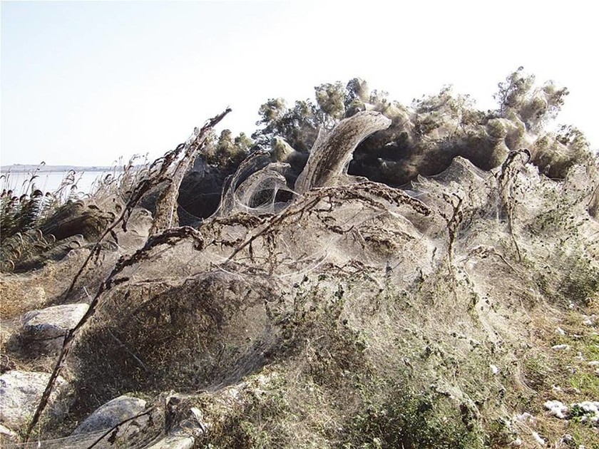 Απίστευτες εικόνες στη Λίμνη Βιστωνίδα: Το σπάνιο φαινόμενο που θυμίζει… θρίλερ (vids+pics)