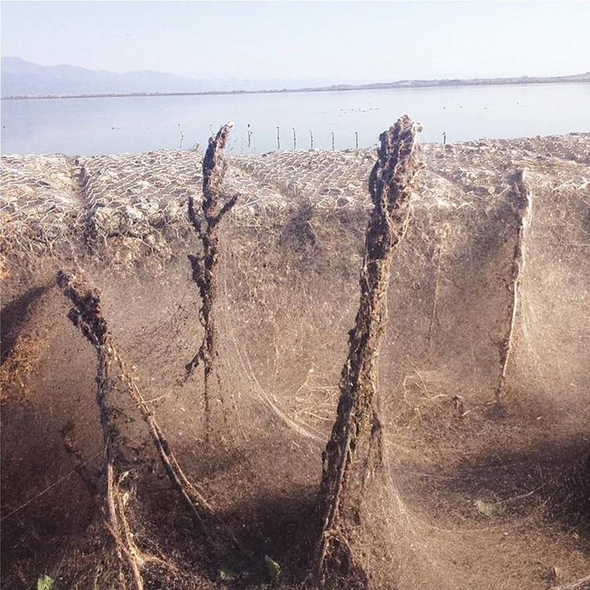 Απίστευτες εικόνες στη Λίμνη Βιστωνίδα: Το σπάνιο φαινόμενο που θυμίζει… θρίλερ (vids+pics)