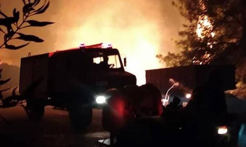 Συναγερμός στην Πυροσβεστική: Μεγάλη φωτιά καίει την Ηλεία