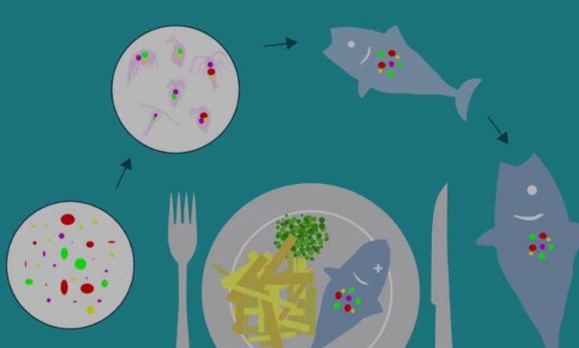 Έρευνα σοκ αποδεικνύει ότι όλοι τρώμε... πλαστικό!