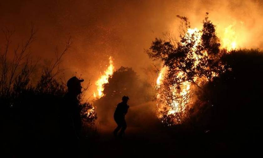Φωτιά στο Φίλυρο Θεσσαλονίκης: Εκκενώθηκαν κατοικίες (χάρτης)
