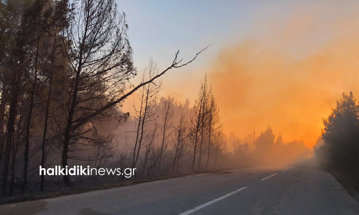 Συναγερμός στη Χαλκιδική: Ανεξέλεγκτη η φωτιά στη Σιθωνία (pics+vid)