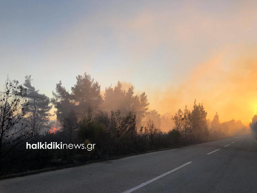 Συναγερμός στη Χαλκιδική: Ανεξέλεγκτη η φωτιά στη Σιθωνία (pics+vids)
