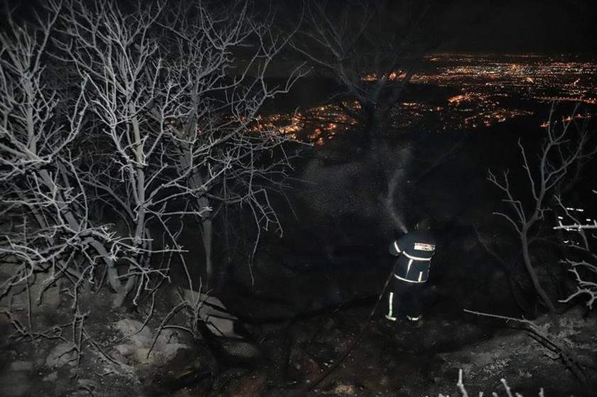 Συγκλονιστικό βίντεο: Δείτε από πού ξεκίνησε η φωτιά στη Σιθωνία Χαλκιδικής